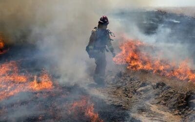 Harnessing Simoco to Tackle Bushfires in Australia